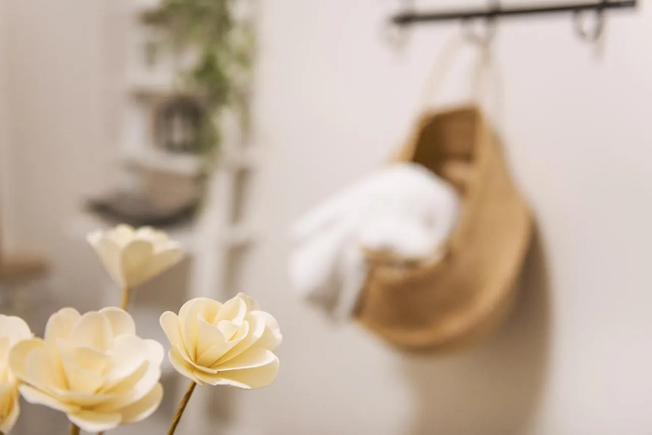Domusbergamo - Boutique Apartment Bergamo